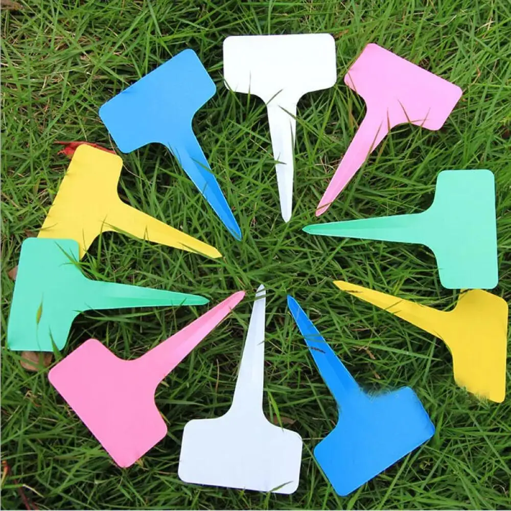 25-200 etichette per piante in - Garden Journal Planner recensione e prezzo