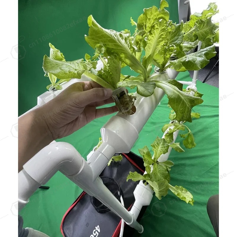 Sistema Idroponico NFT a 2 Liv - Smart Garden Hanging Baskets recensione e prezzo