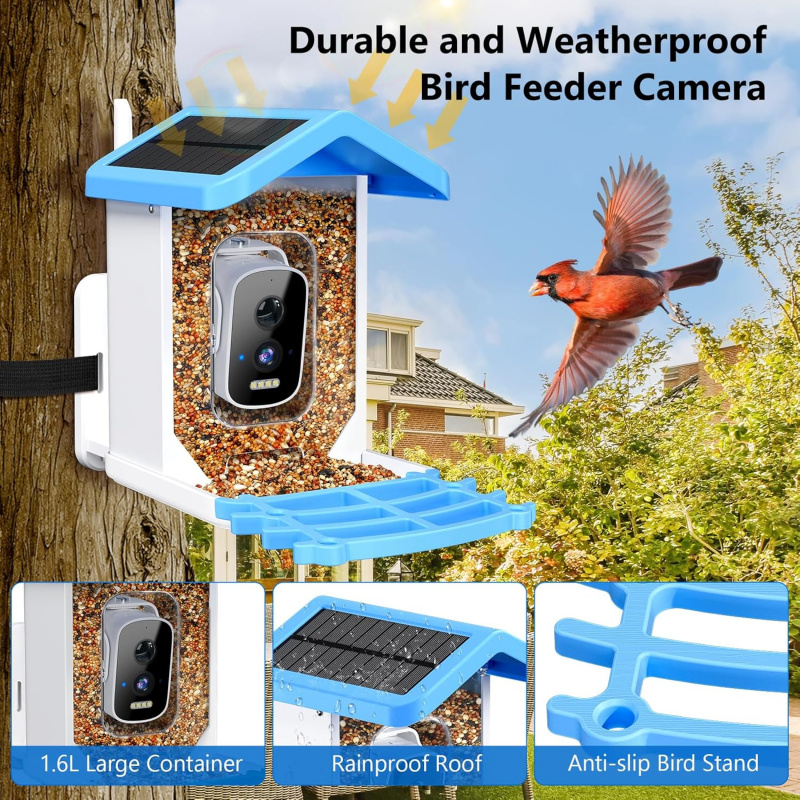 Mangiatoia per uccelli intelli - Smart Garden Outdoor recensione e prezzo