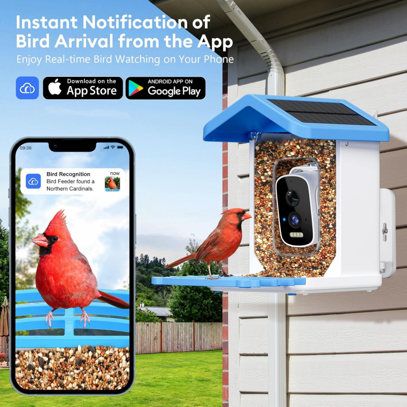 Mangiatoia per uccelli intelli - Smart Garden Outdoor recensione e prezzo