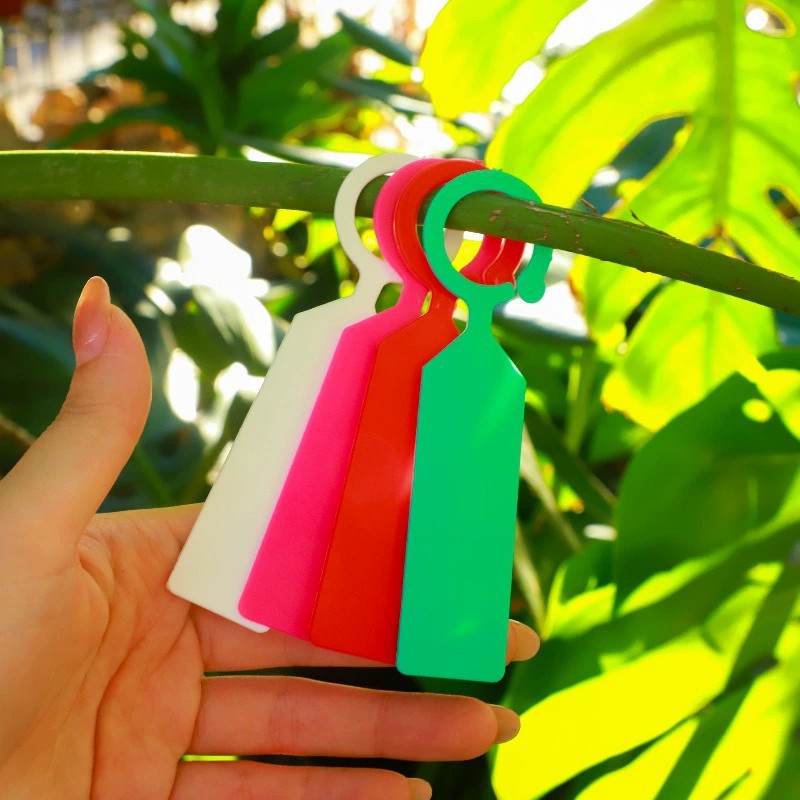 100 Etichette ad Anello in Pla - Garden Journal Planner recensione e prezzo