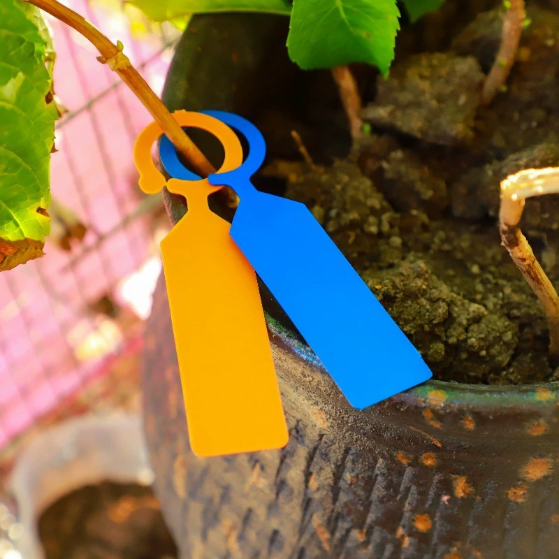 100 Etichette ad Anello in Pla - Garden Journal Planner recensione e prezzo