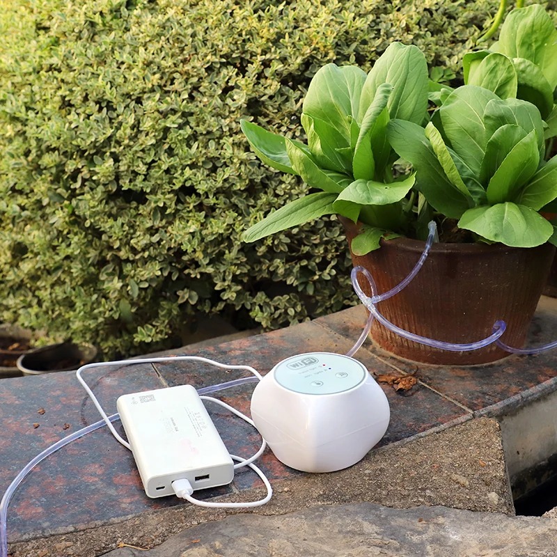 Wifi Lazy set di irrigazione a - Smart Garden Keeper recensione e prezzo